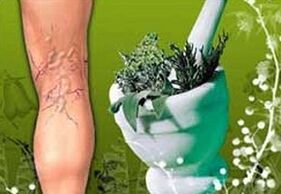 Hierbas para el tratamiento de las venas varicosas.